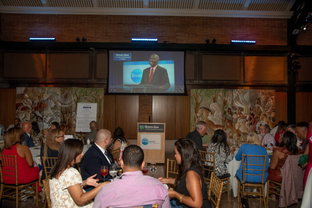 Guests at the 2022 BronxWorks Evening Reception view the virtual program at the Bronx Zoo