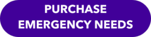 A purple oblong shape. There is white text that reads "Purchase Emergency Needs"